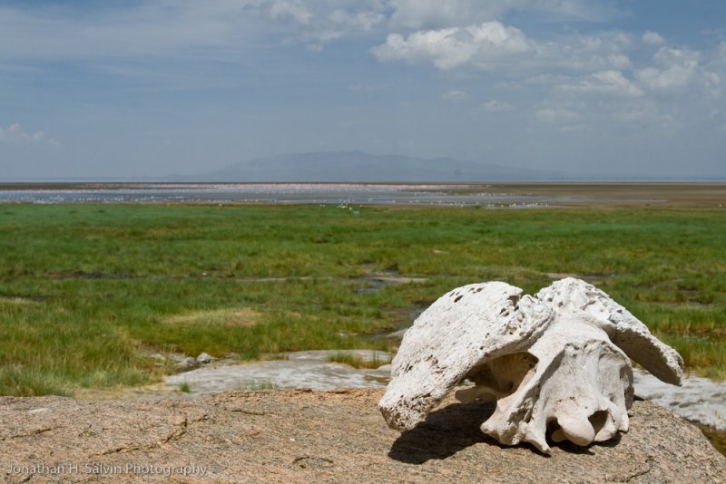 Tanzania-73.jpg