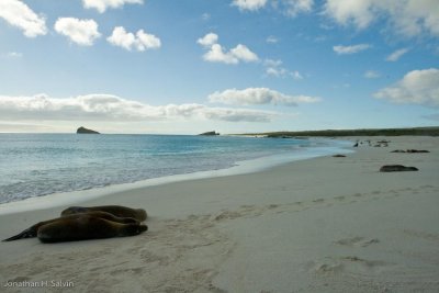 Espanola Island Gardner Bay 06-14-2008-134.jpg