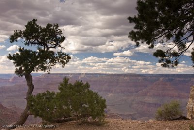 Grand Canyon-288.jpg