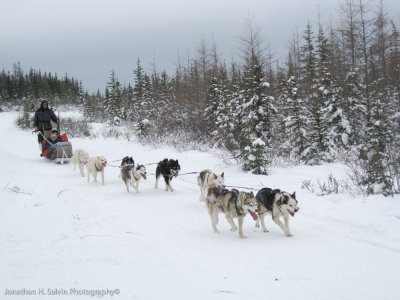 Churchill Dogsledding-139.jpg