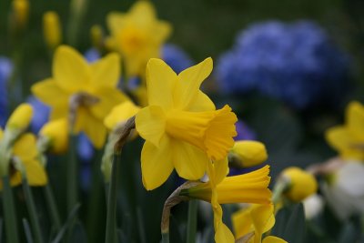 IMG_2449.jpg