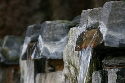 IMG_2926.jpg