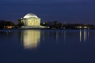 Washington D.C.-3.jpg