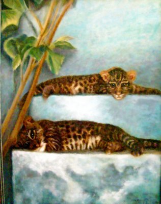 Animals