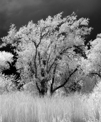 Corn Creek 02