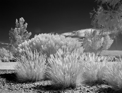 Mountain Crest Park 2