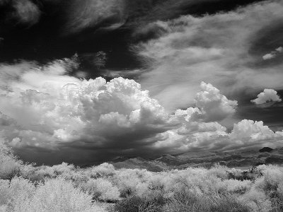 Infrared Images - Jul/Aug 2008