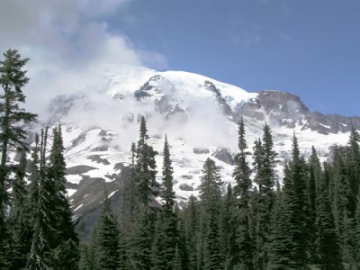 Mt. Rainier