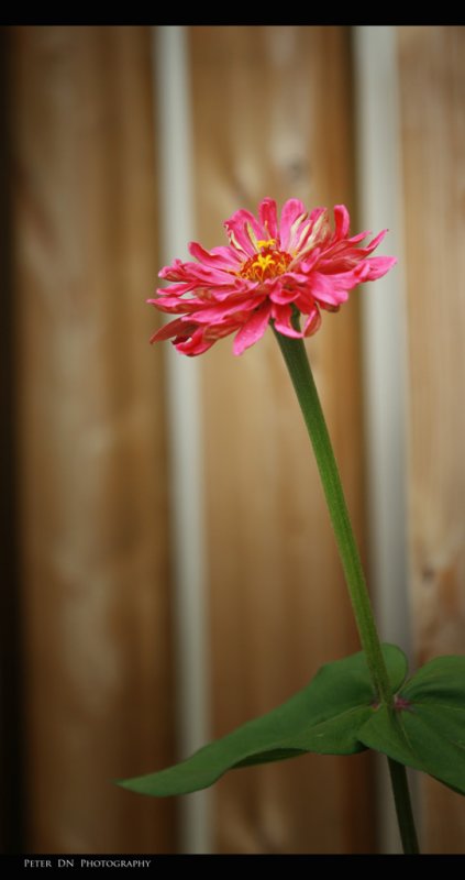 IMG_9000.jpg