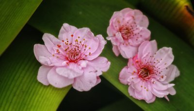 IMG_5645.jpg