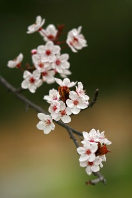 IMG_5675.jpg