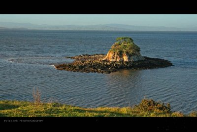 IMG_6123.jpg
