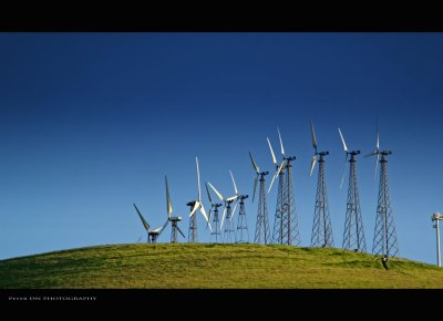 IMG_6680.jpg