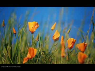 IMG_6789.jpg