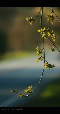 IMG_6770.jpg