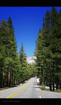 IMG_8472.jpg