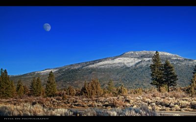 IMG_1113.jpg