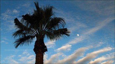 IMG_1919.jpg