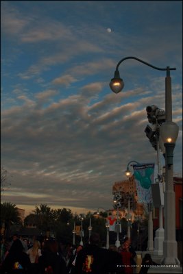 IMG_1924.jpg
