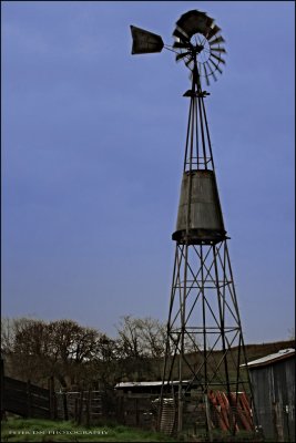 IMG_2587.jpg