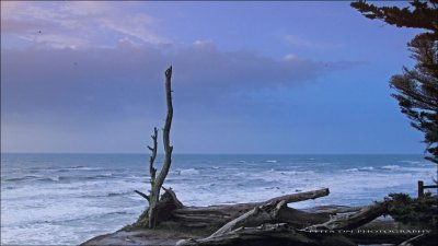 IMG_2643.jpg