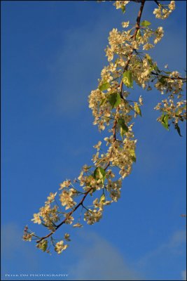 IMG_2789.jpg
