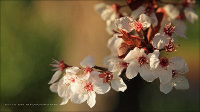 IMG_3060.jpg