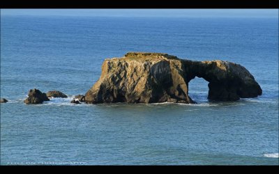 IMG_3959.jpg