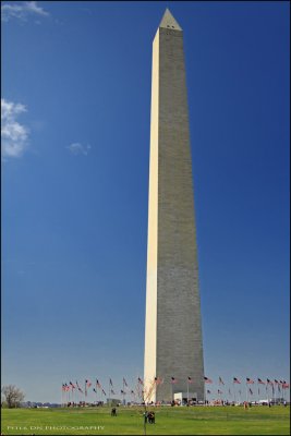 IMG_4219.jpg