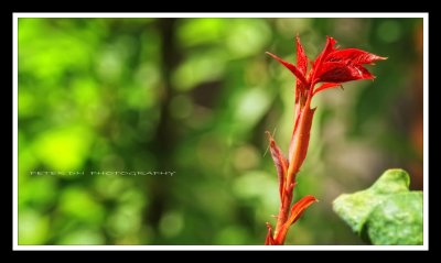 IMG_4778.jpg