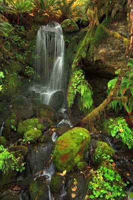 Enchanted Falls - Oregon