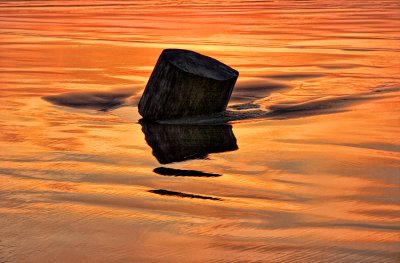 Log on Beach - Cape Disappointment - Washington