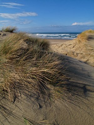 Beach and Dunes - Winchester Bay,OR