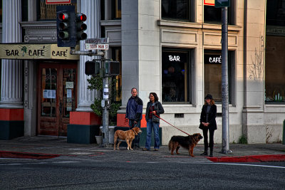Dog Lovers - Sebastapol, California