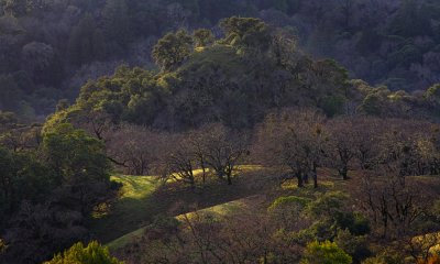 Hilltop - Sonoma County, California