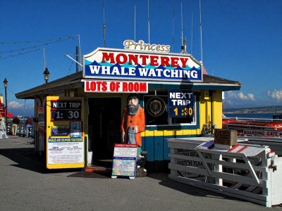 Whale Watching Cruises - Monterey, California