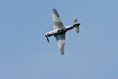 La Ferte Alais 2010 _208.JPG