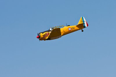 La Ferte Alais 2010 _239.JPG