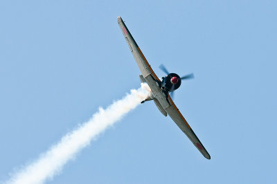 La Ferte Alais 2010 _245.JPG