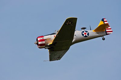 La Ferte Alais 2010 _249.JPG