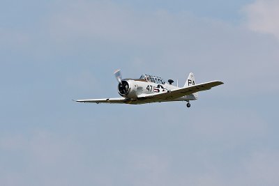 La Ferte Alais 2010 _250.JPG