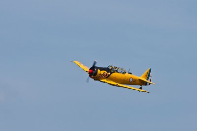 La Ferte Alais 2010 _251.JPG