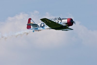 La Ferte Alais 2010 _253.JPG