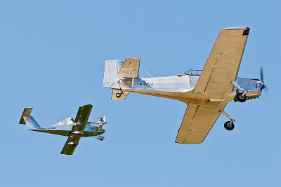 La Ferte Alais 2010 _257.JPG