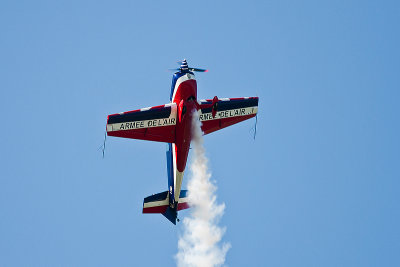 La Ferte Alais 2010 _269.JPG