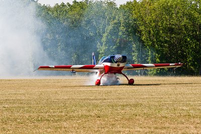 La Ferte Alais 2010 _274.JPG