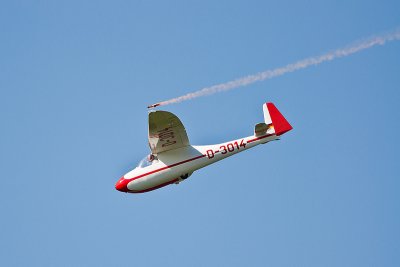 La Ferte Alais 2010 _278.JPG