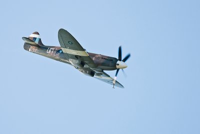 La Ferte Alais 2010 _285.JPG