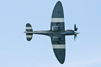 La Ferte Alais 2010 _289.JPG