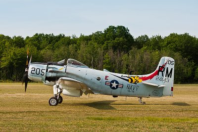 La Ferte Alais 2010 _291.JPG